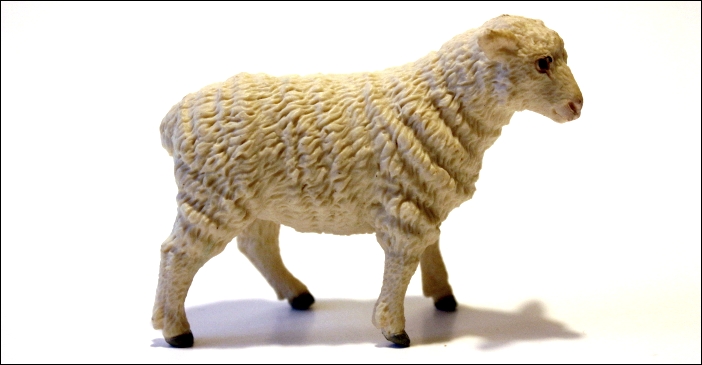Sheep Lamb Wildlife Figure 100137 New Free Shipping Safari Ltd 