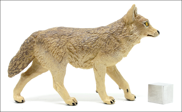 Papo Jackal Wildlife Animal Toy figure Replica 50259 NEW Free Shipping